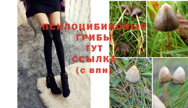 шишки Богородск