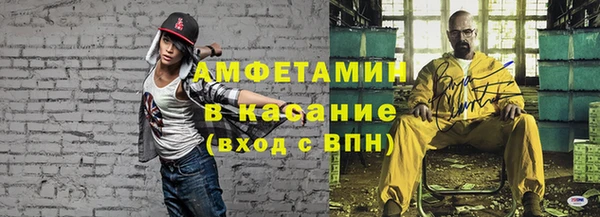 шишки Богородск
