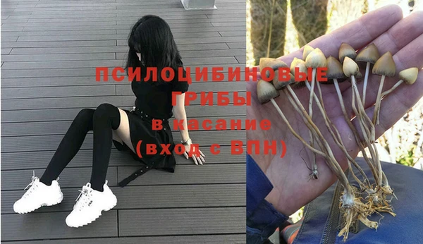 скорость Богданович