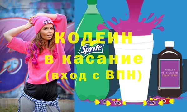 шишки Богородск