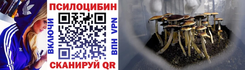 где найти   Вуктыл  Галлюциногенные грибы прущие грибы 